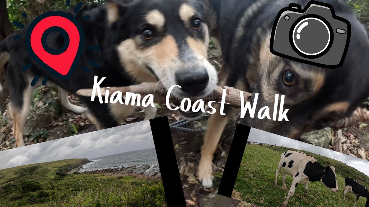 Kiama Coast Walk