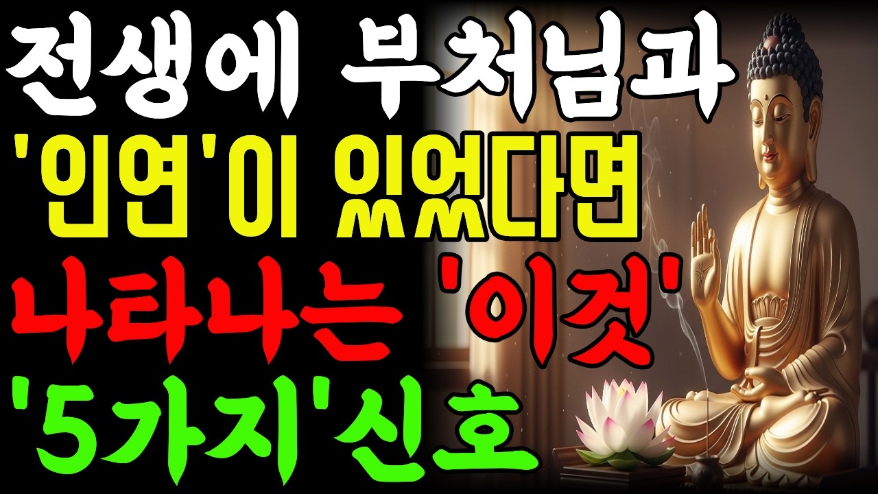 전생에 부처님과 인연이 있었다면 나타나는 5가지 신호| 사주풀이 | 금전운 | 철학 |