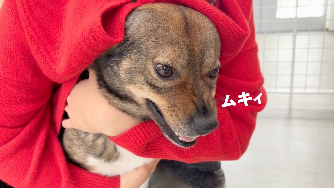 ママだからっていつでも抱きしめていいわけじゃないチャーリー