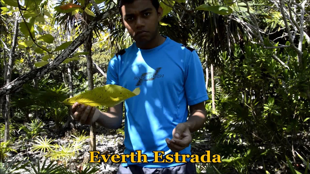 GUANAJA, HONDURAS PARTE 3 - EVERTH ESTRADA