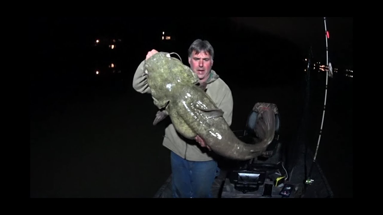 Show Me The Fish!