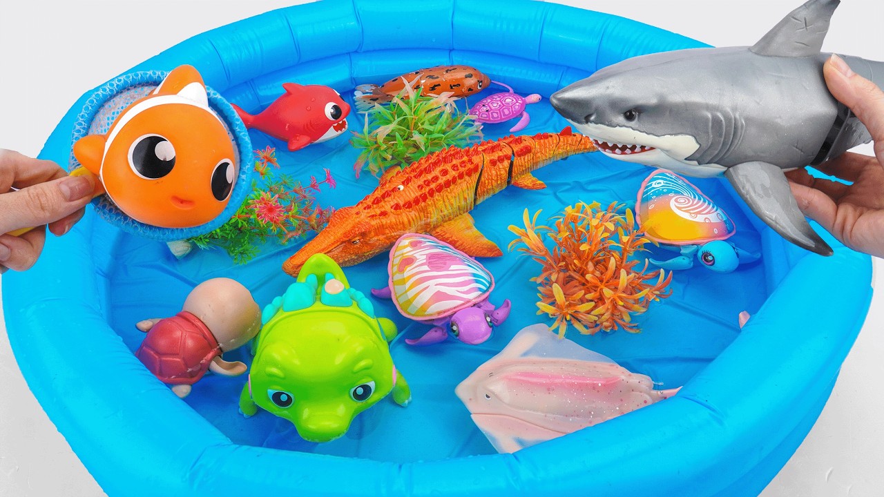 🦈toy asmr🦈 Ultimate ZURU Robo Alive Super Aquarium Set & White Shark ✨ Review Toys (No Talking)