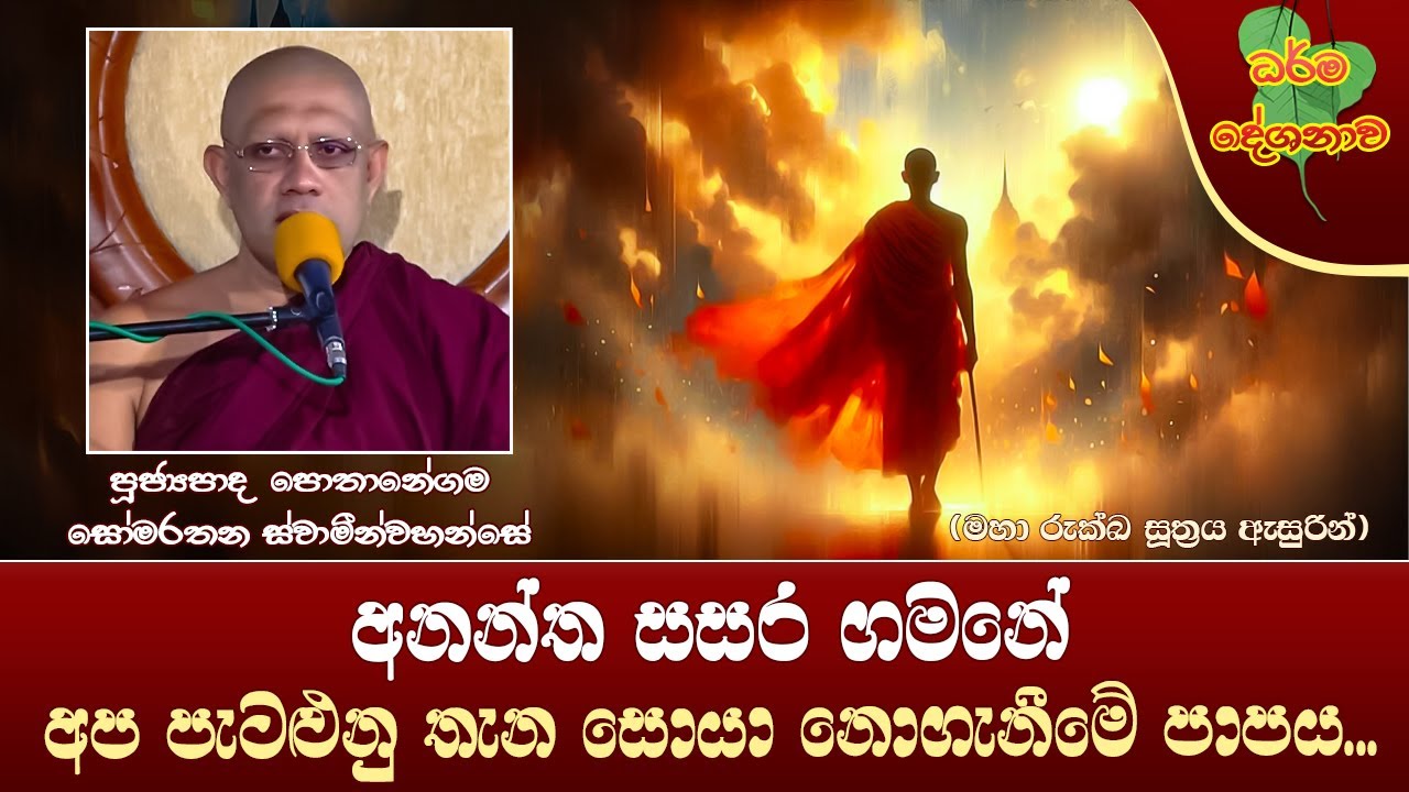 Ven Pothanegama Somarathana Thero | 2024-10-19 | 11:30 AM (සසරේ පැටළුනු තැන සොයානොගැනීමේ පාපය...)