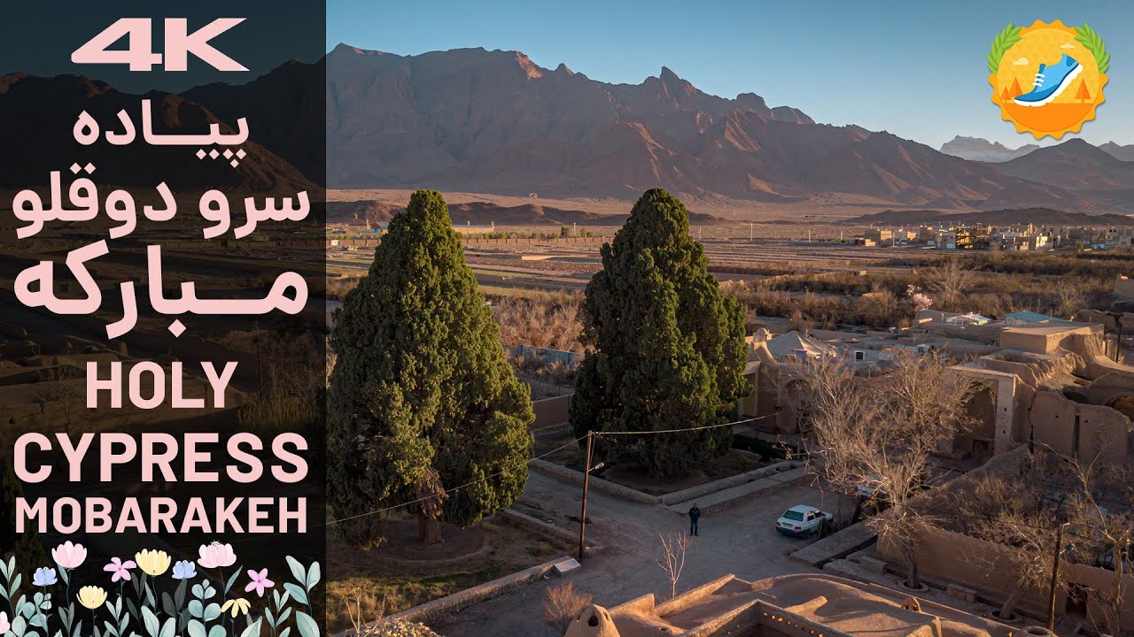 پیاده روی روستای مبارکه سرو دوقلوی کهنسال یزد | Twin Cypress Yazd Iran Walking Tour in 4K