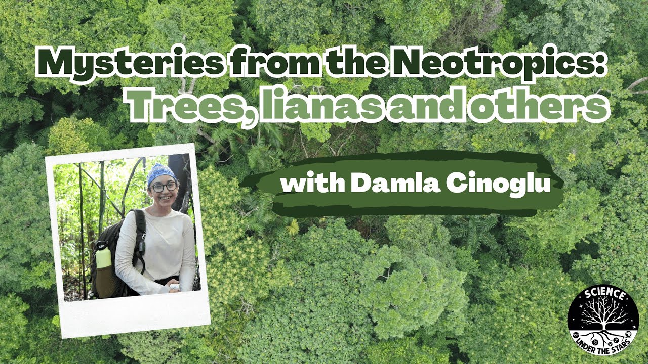 Mysteries from the Neotropics: Trees, lianas and others with Damla Cinoglu | Science Under the Stars