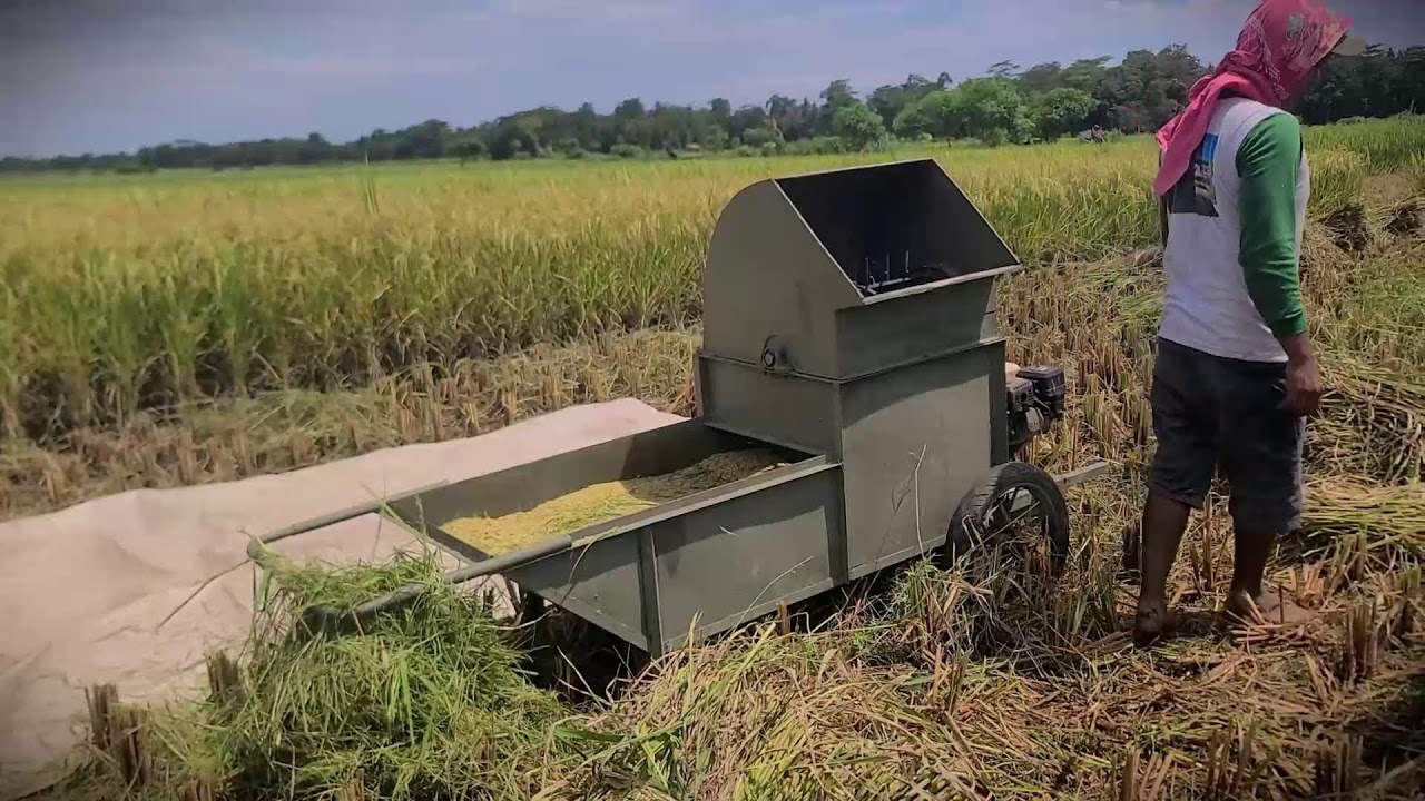 Village Innovation: Small Scale Rice Threshing Machine _FarmersLife _Shorts
