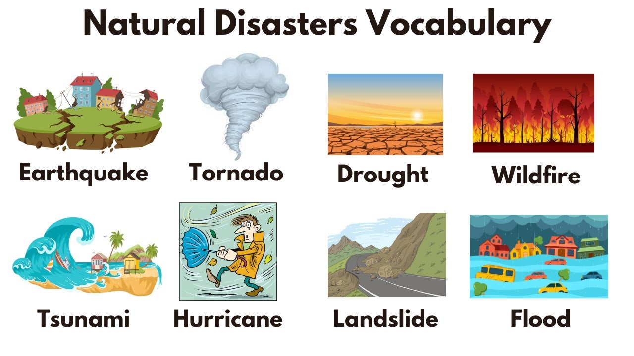 Natural Disasters Vocabulary | Disasters Vocabulary | Learn English Step Wise | Basic English