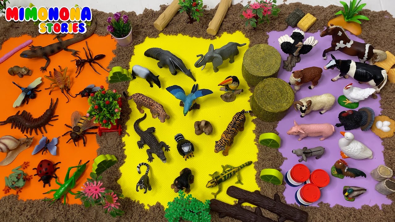 Grupos de ANIMALES 🐷🦋🐿️ Animales del Jardin Granja Selva Tropical 🐘🦅 Mimonona Stories