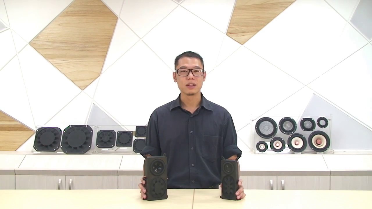 Tang Band Speaker 