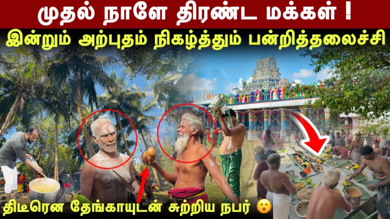 முதல் நாளே திரளும் மக்கள் ! இன்றும் அற்புதம் நிகழ்த்தும் மடுவில் பன்றித்தலைச்சி | GL Tharshan 