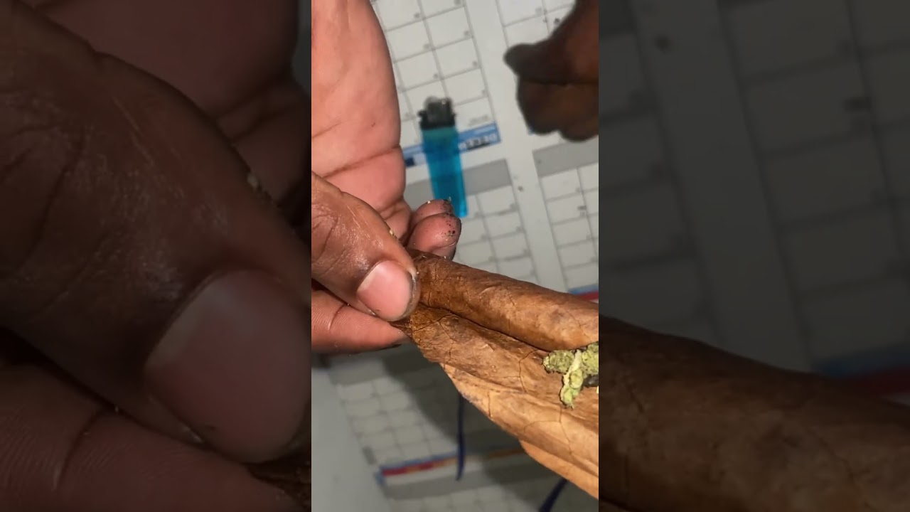 How To Roll A Backwood 2025 Russian Creme Edition