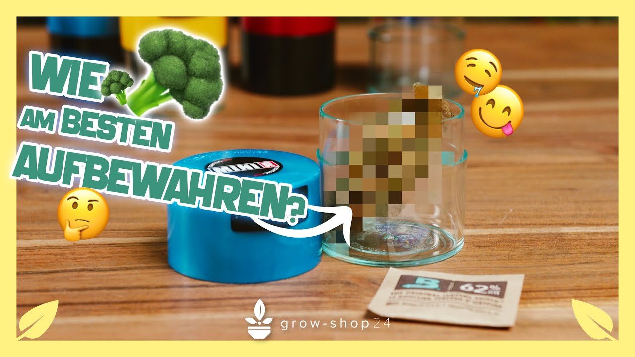 Cannabis richtig Aufbewahren - Smarte L&ouml;sungen f&uuml;r deine Ernte