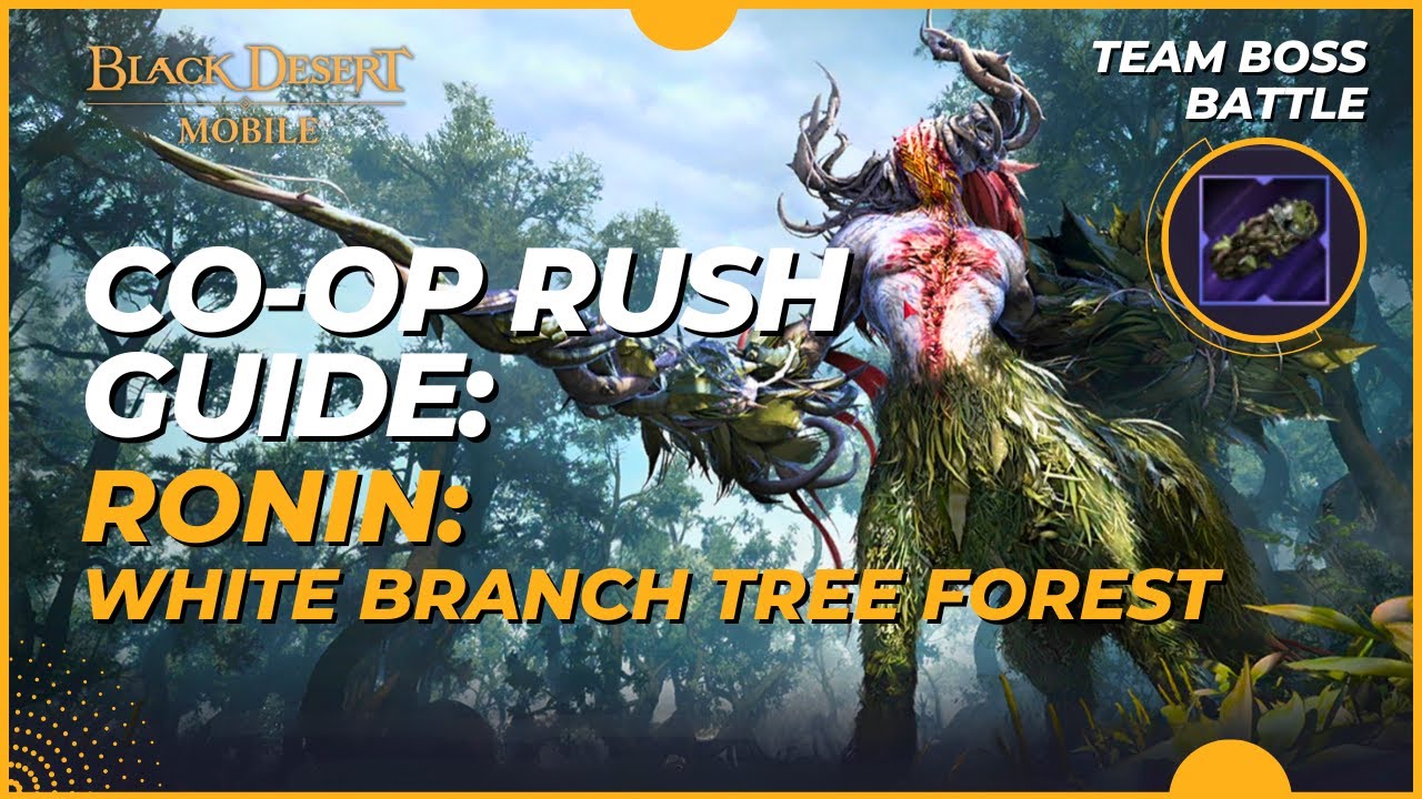 Co-op Rush: Ronin - Full Guide with Commentary | Black Desert Mobile (2024)