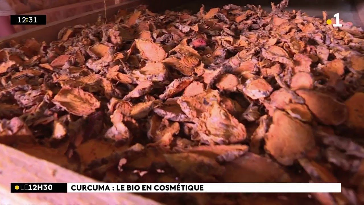 Le curcuma de la Plaine-des-Grègues a trouvé une autre utilité que dans le carry