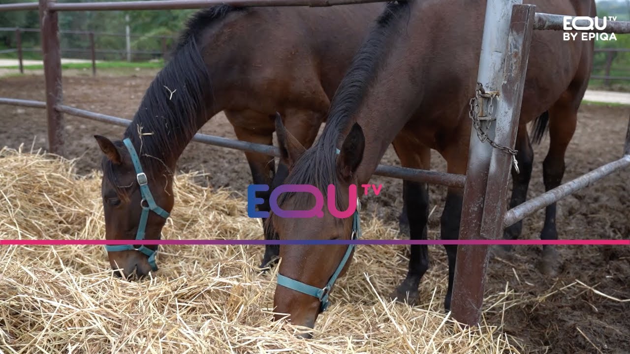 FUORI CORSA: ASSISI - 1^ PUNTATA (19/11/24)