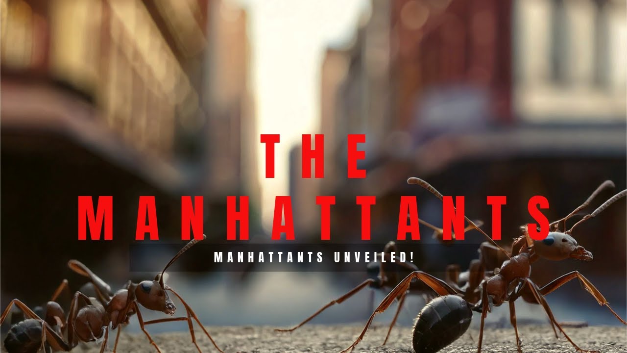 Meet the ManhattAnts: NYC's Unique Ant Species!
