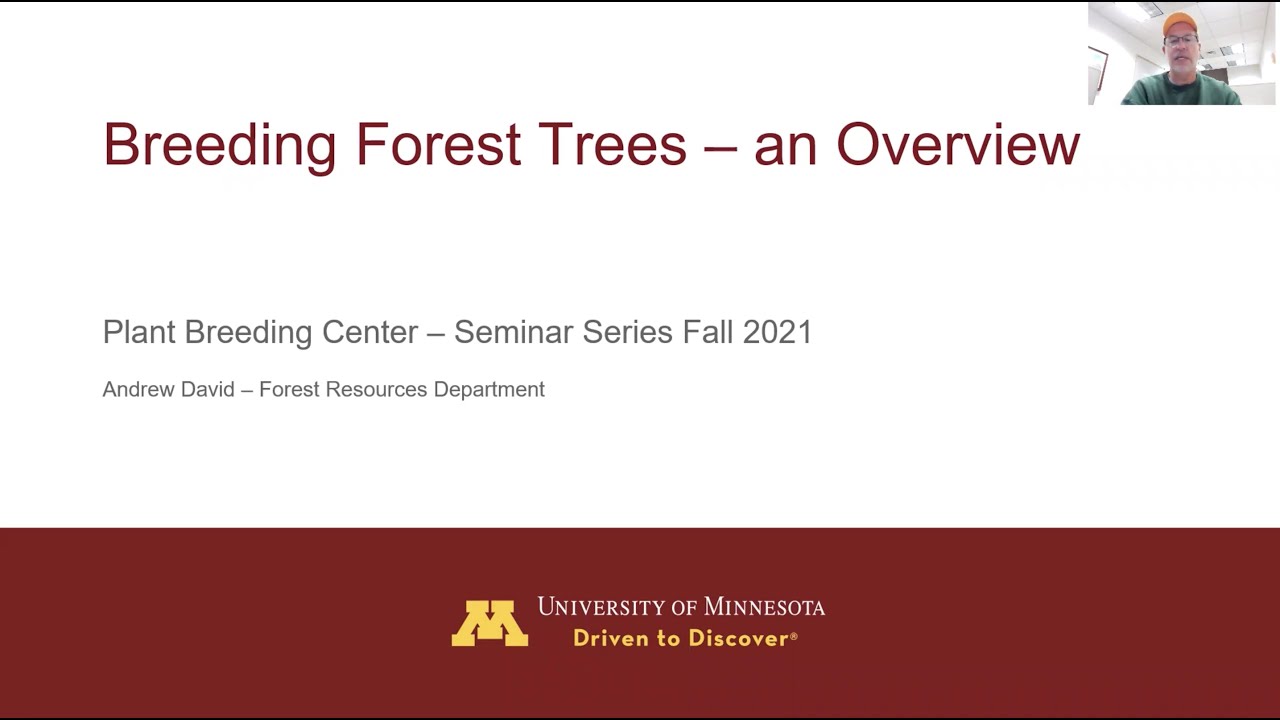Forest Tree Breeding - an Overview - Andrew David
