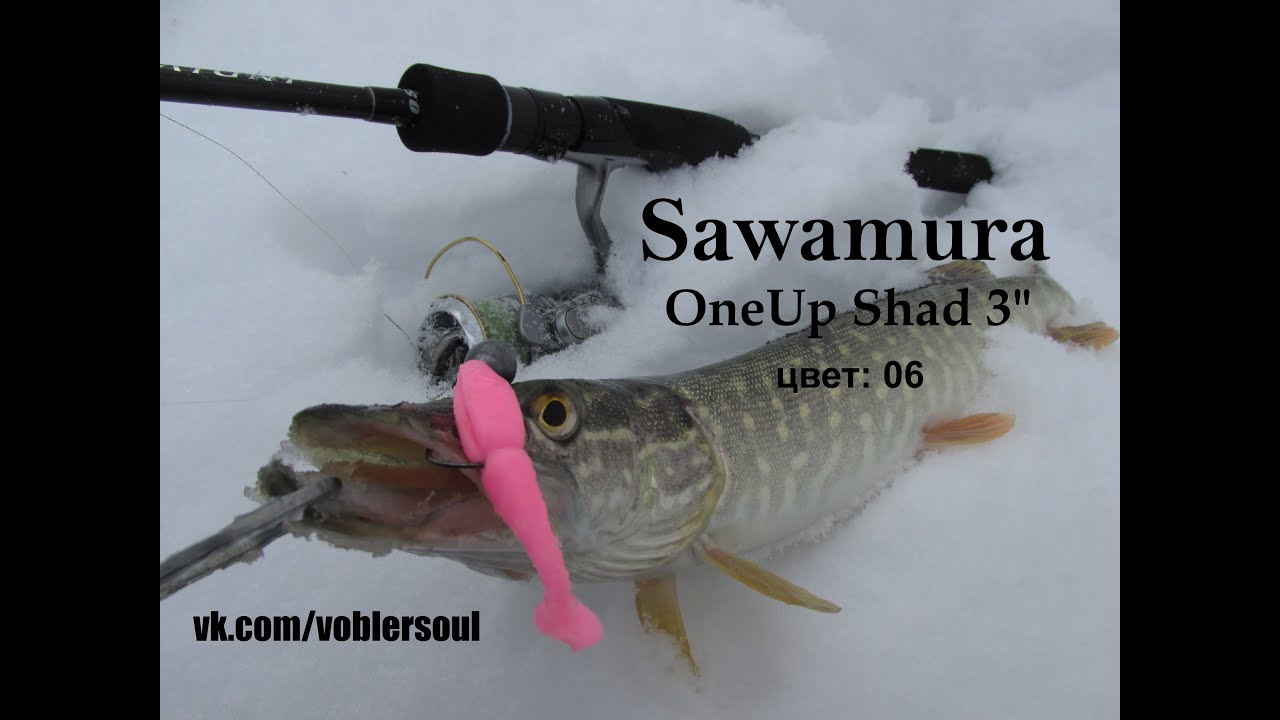 Зимний спиннинг. Ловля щуки на OneUp Shad 3
