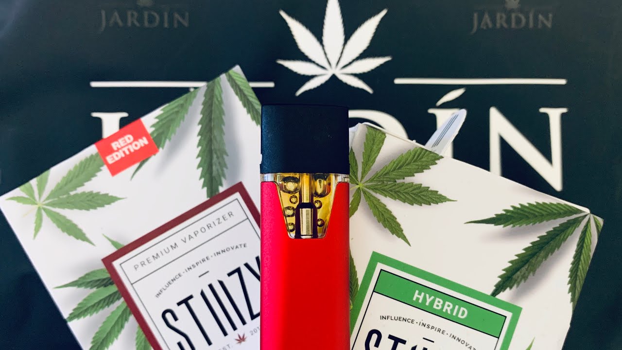 STIIIZY Pod Gelato Review