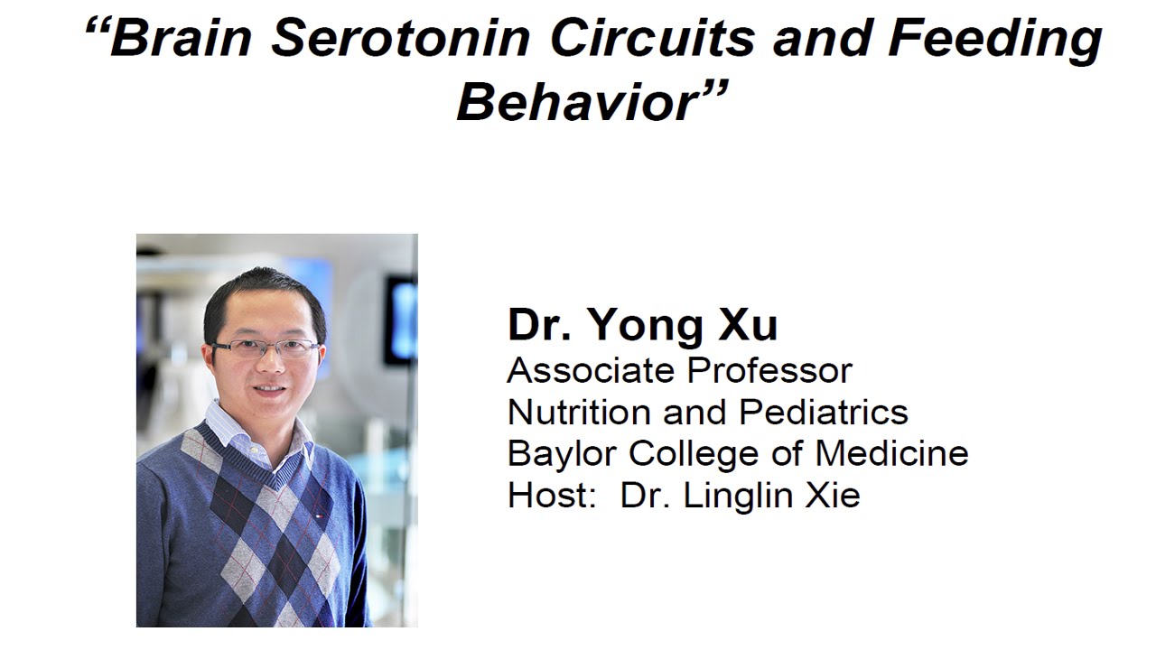 Brain Serotonin Circuits and Feeding Behavior