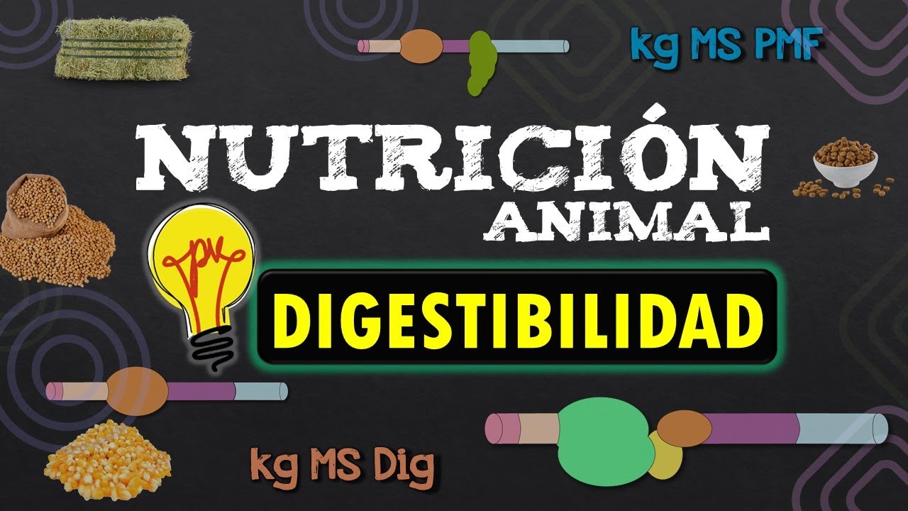 🌾 NUTRICIÓN ANIMAL 📌DIGESTIBILIDAD 📌APARENTE Y REAL - FÓRMULAS - Resumen simple