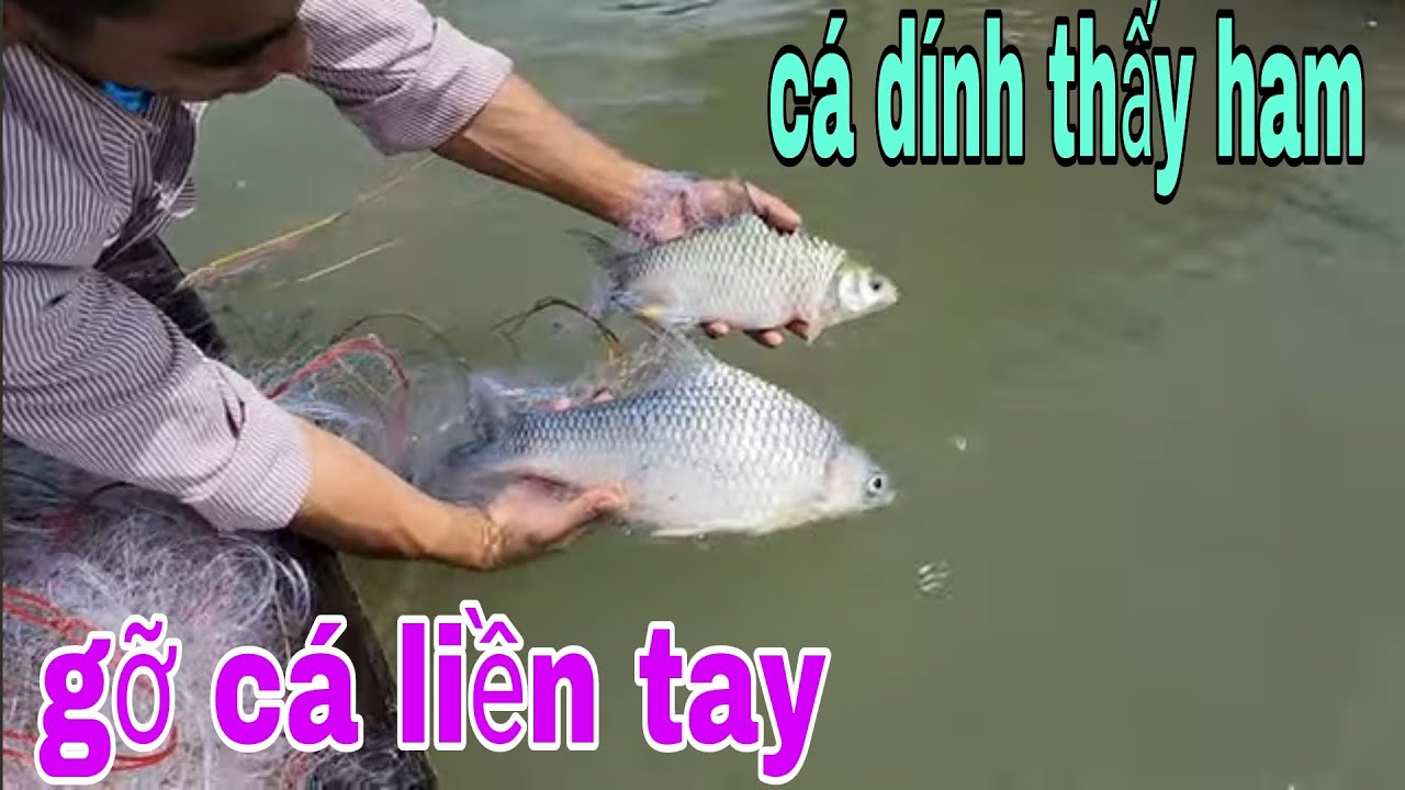 Tay Lưới 1 Tất 2 Dạo Không Làm Ta Thất Vọng Mỗi Lần Xuất Chiến Là Trúng Mánh # SĂN BẮT ĐỒNG THÁP #