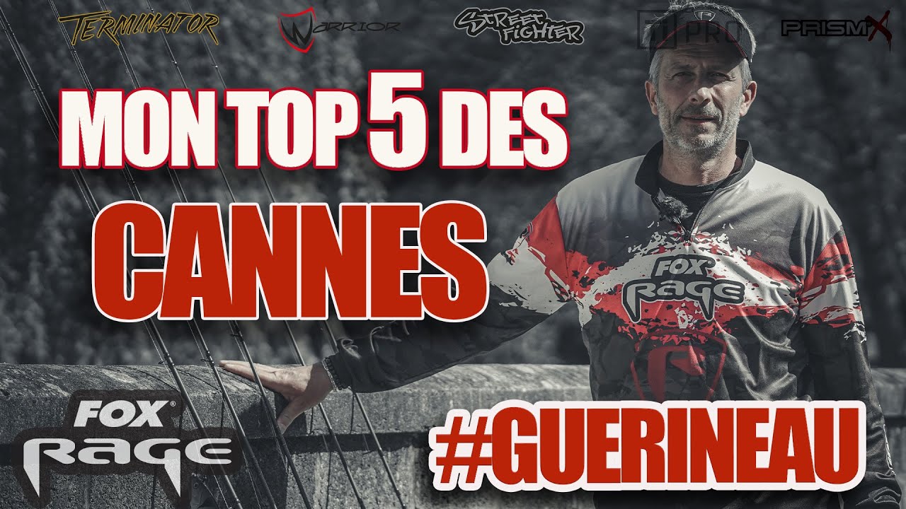 Mon top 5 Cannes #foxrage #guerineau