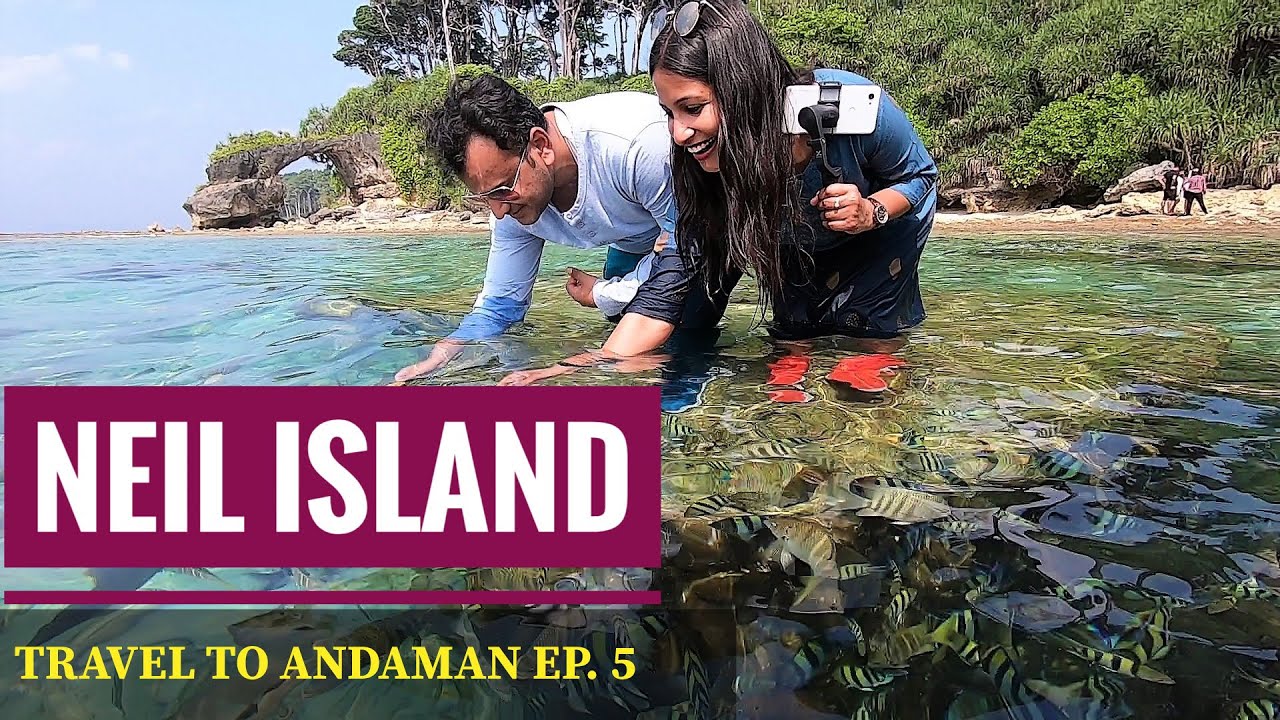 Neil Island in 2 days | Things to do in Neil Island | Travel to Andaman | Ep 5 | Island Life