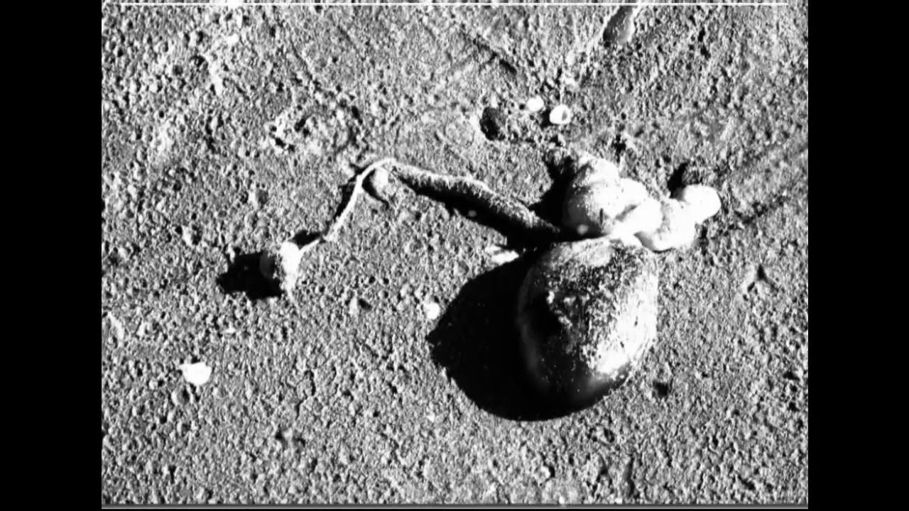 Top Secret Moon Pictures From Nasa - Real Alien Bases On the Moon
