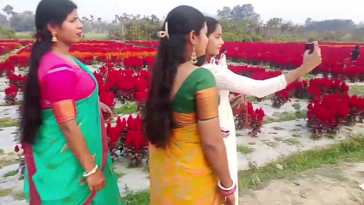 নোয়াপাড়া ফুলের বাগান,সব বোনরা মিলে চলে এলাম ঘুরতে 🌹🌹🏵️🏵️🎉🙂