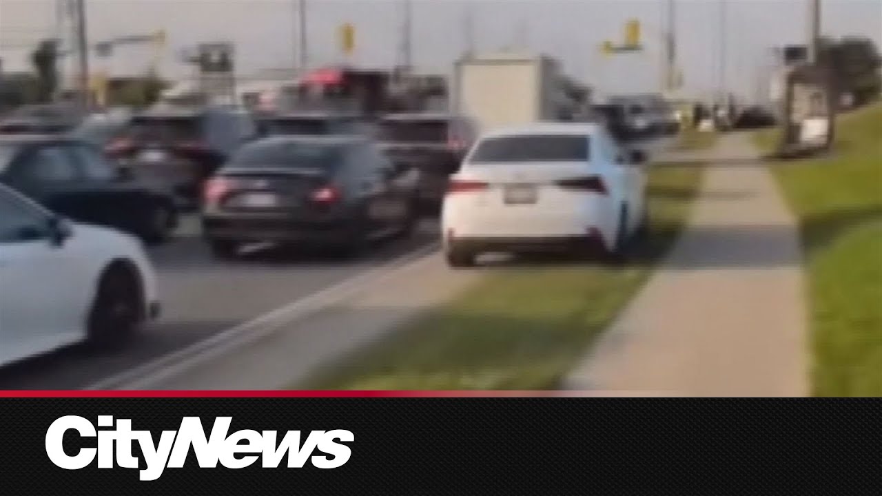 Man caught on video driving on sidewalk in Brampton