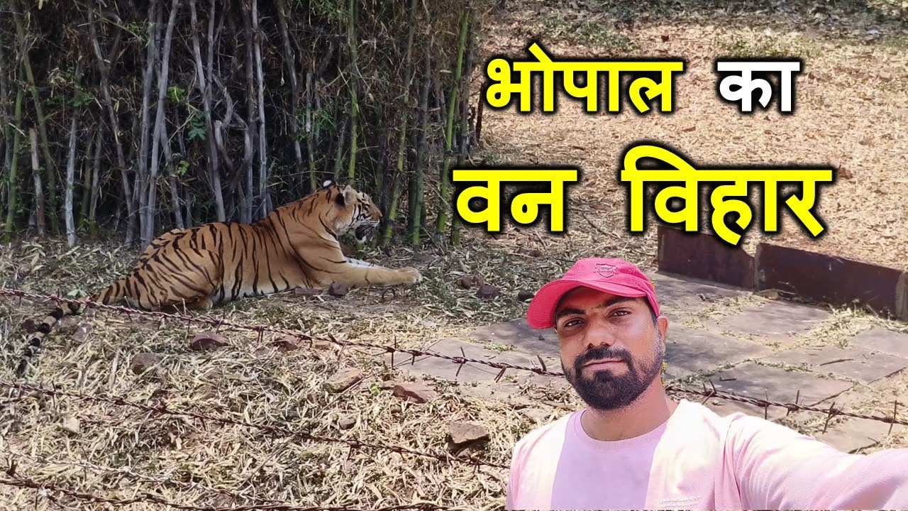 Exploring Van Vihar National Park Bhopal 🦁 | Wildlife Adventure Vlog