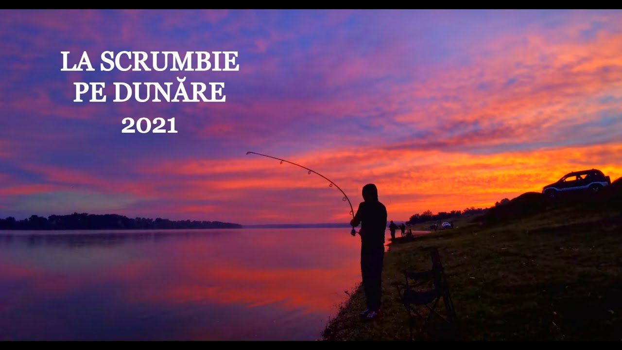 NEBUNIE LA SCRUMBIE Pe Dunare 2021--- 22 - 23 Mai - Pescuit La ȚAPARINĂ la Pristol