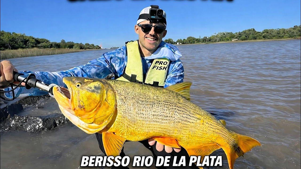 TREMENDO DORADO!! 😱 PESCA DE BOGAS Y DORADOS EN BERISSO🔥 #doradoGigante #pescadedorados