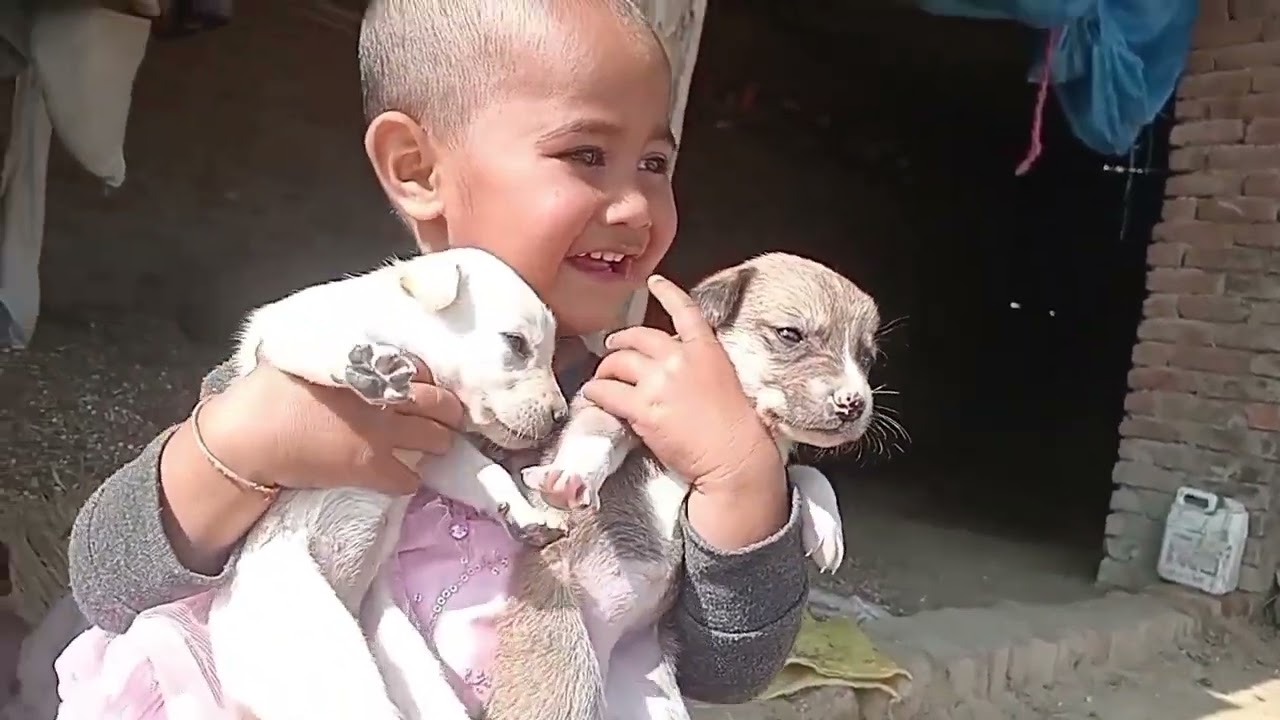 Aaj hamare ghar par bana tha gajar ka halva vijay vlogs 