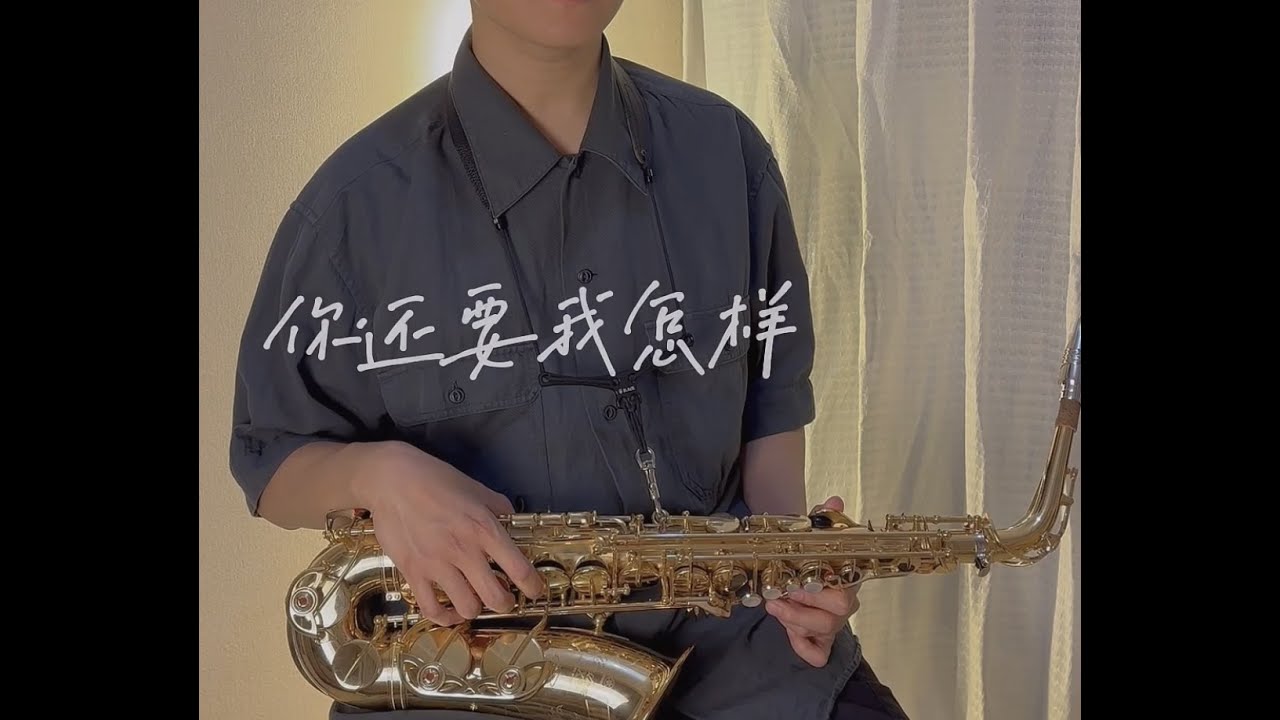 你还要我怎样 萨克斯演奏 