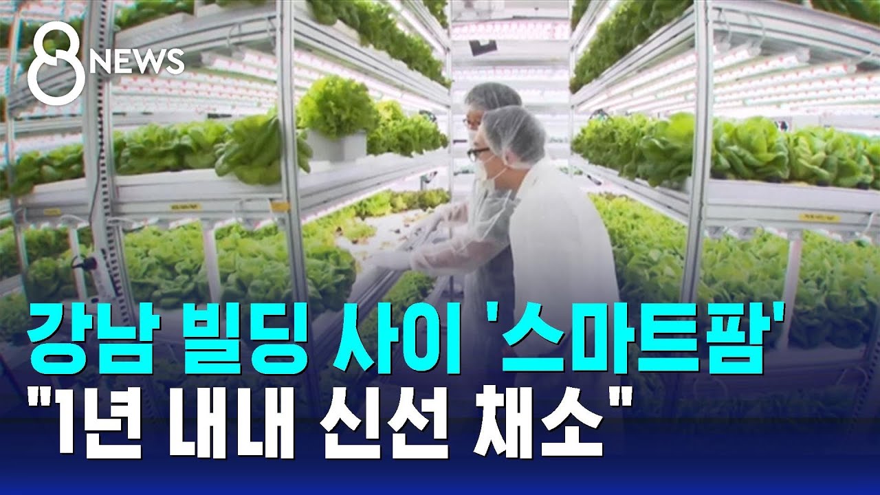 강남 대형 빌딩 사이 '스마트팜'…