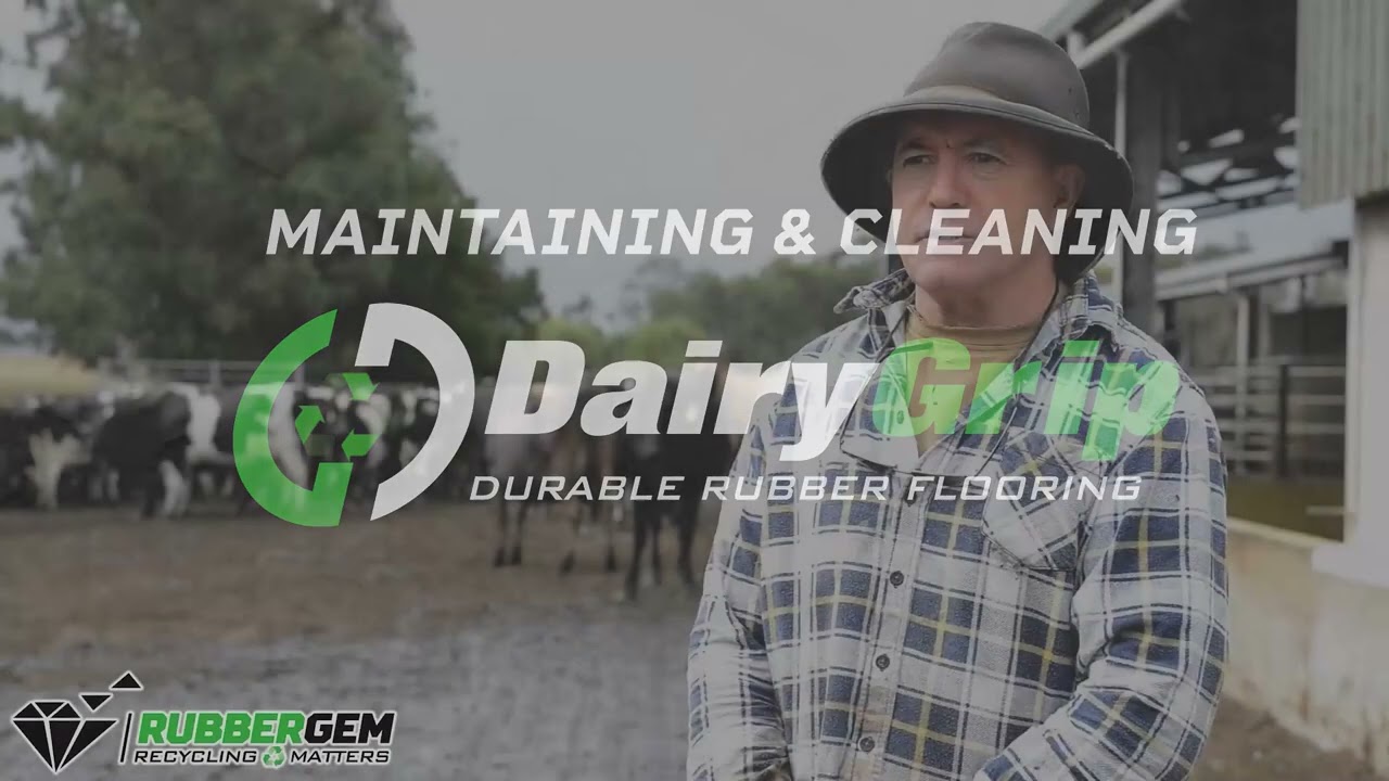 DairyGrip Dairy Rubber Flooring: Excellence in Cow Comfort and Confidence / RubberGem