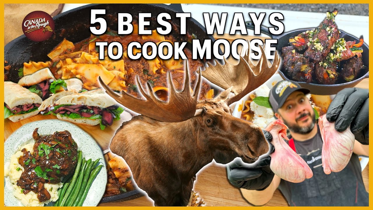 The 5 Best Ways to Cook Moose | Rough Cooking Recipe (HOW TO Compilation)