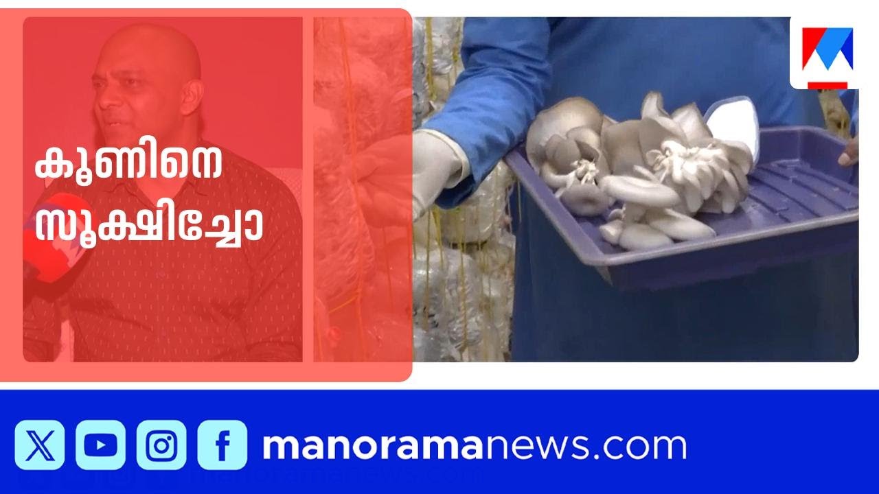 എല്ലാ കൂണും കഴിക്കല്ലേ; സൂക്ഷിച്ചോ, എട്ടിന്‍റെ പണികിട്ടും | Mushroom