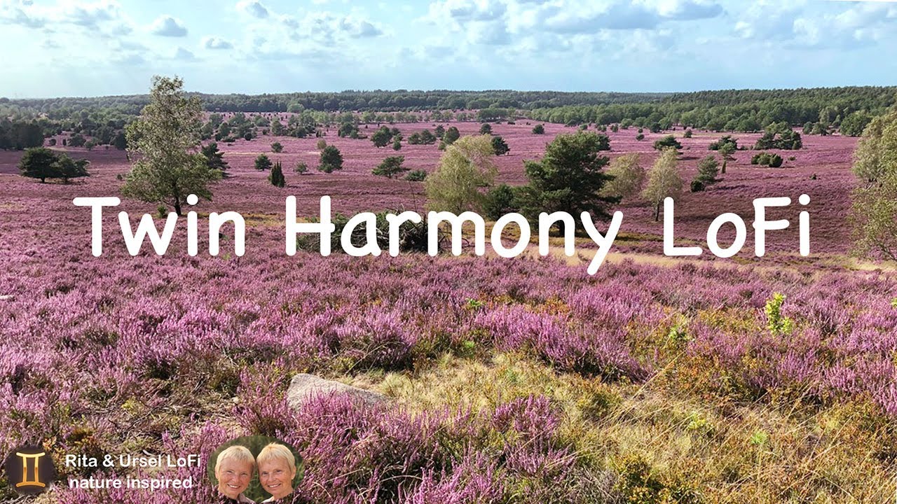 Twin Harmony LoFi – nature inspired beats on a peaceful heather field