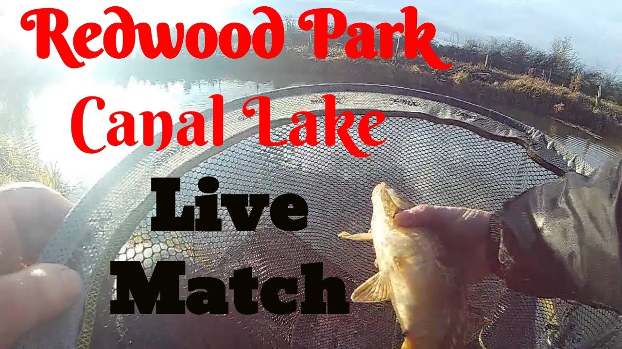 Live Match Fishing, Redwood Park, winter Snake lake