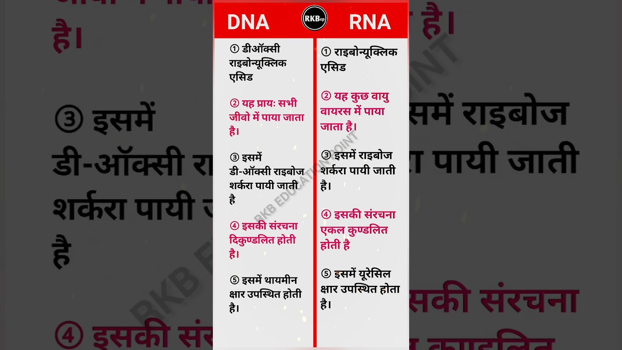 DNA और RNA में अंतर | differences between DNA and RNA | dna rna mein antar @RKBEducatioPoint
