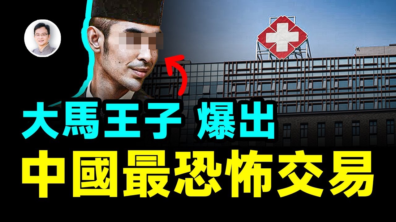 馬來西亞王子爆出了中國最恐怖的交易，真相超想像【文昭思緒飛揚447期】