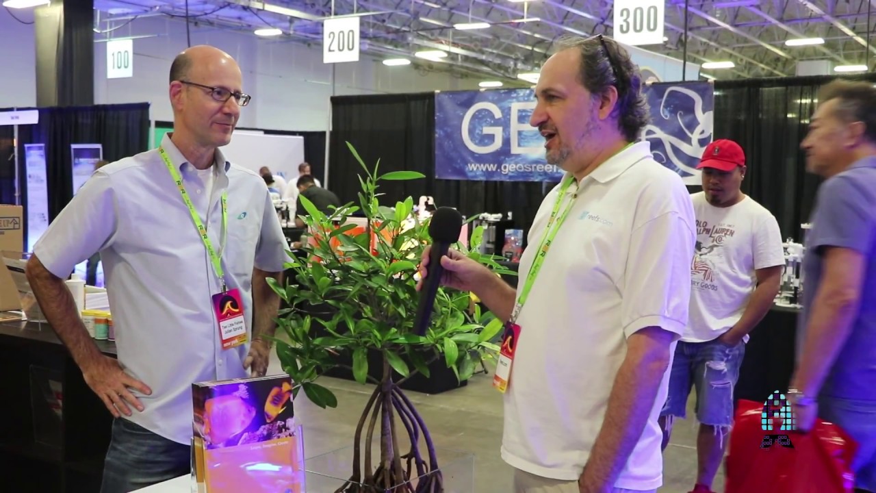 Reef A Palooza New York 2017 : Two Little Fishies