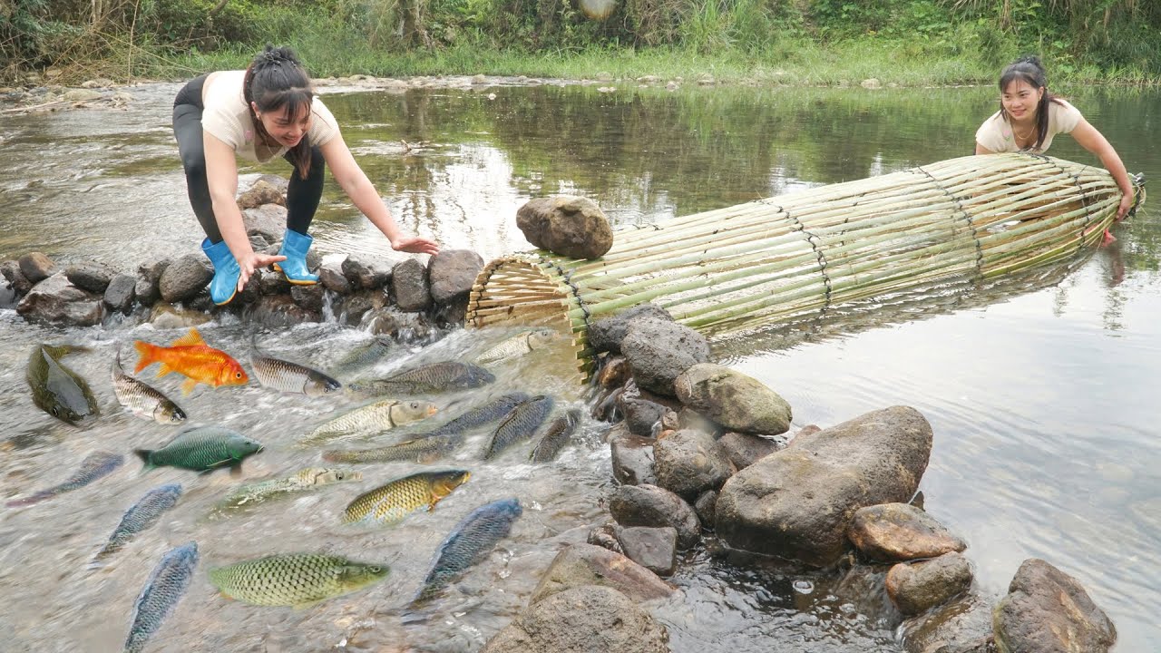How to Make Simple Fish Trap From Bamboo, The SECRET to FISHING TRAPS and BAIT Tips.