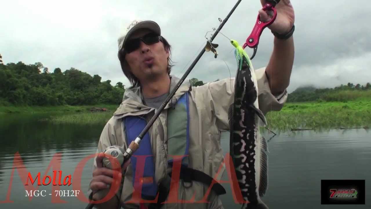 7Seasproshop Angler's Republic Palms Molla & Shorgun Rods Present