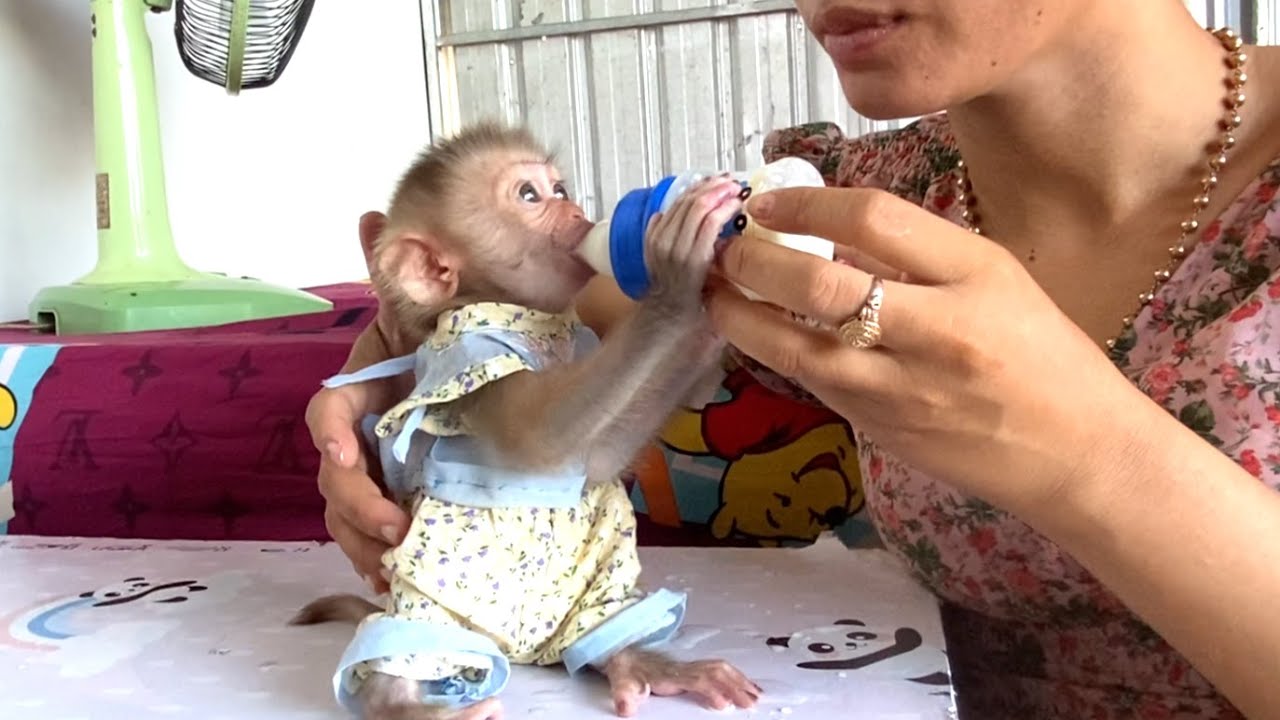 Favorite!! Cute little LIORA is drinking milk in the morning