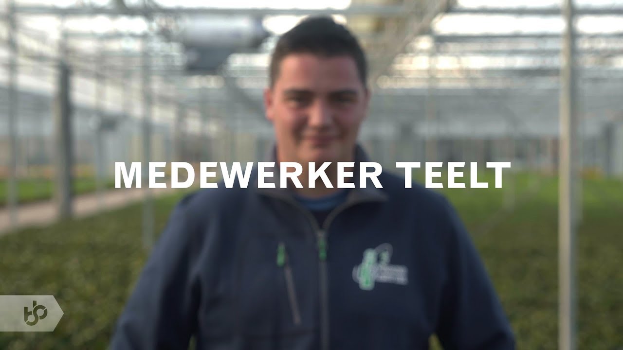 Praktijkleren: Medewerker teelt