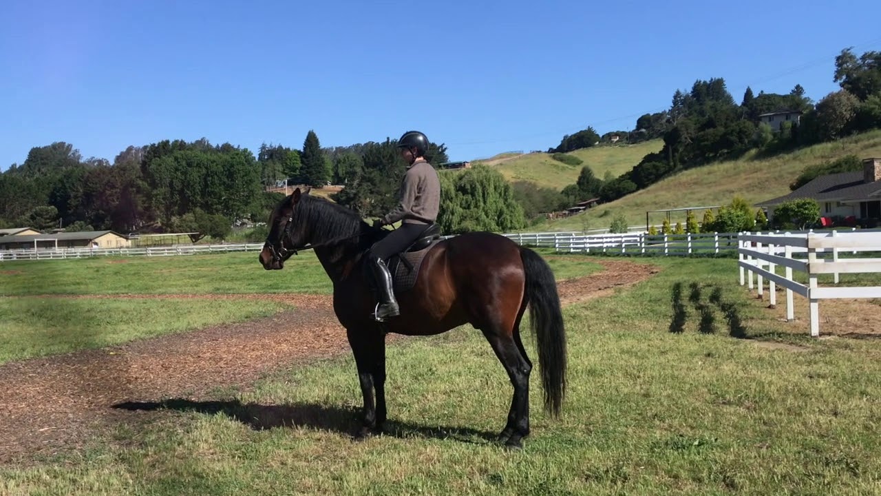 Jec Ballou Goes in Depth About Turn on the Haunches